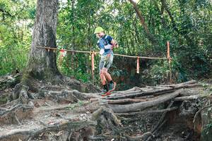 BIB: 
                            <button type="button" onclick="openModal(27807170)" class="btn btn-primary btn-sm float-right btn-popup" data-toggle="modal" data-target=".modal-high-quality">
                        <i class="fas fa-shopping-cart"></i> Add to Cart
                    </button>
                                            <button type="button" onclick="isThisMe(27807170, true)" class="btn btn-success btn-sm float-right btn-popup btn-isme hidden" data-toggle="tooltip" data-placement="bottom" title="นี่คือรูปของคุณใช่ไหม คลิกที่นี่เพื่อเอาเข้าอัลบั้ม">
                        <i class="fas fa-plus"></i> Add to album
                    </button>
                    <button type="button" onclick="isThisMe(27807170, false)" class="btn btn-warning btn-sm float-right btn-popup btn-isnotme hidden">
                        <i class="fas fa-ban"></i> Remove from album
                    </button>